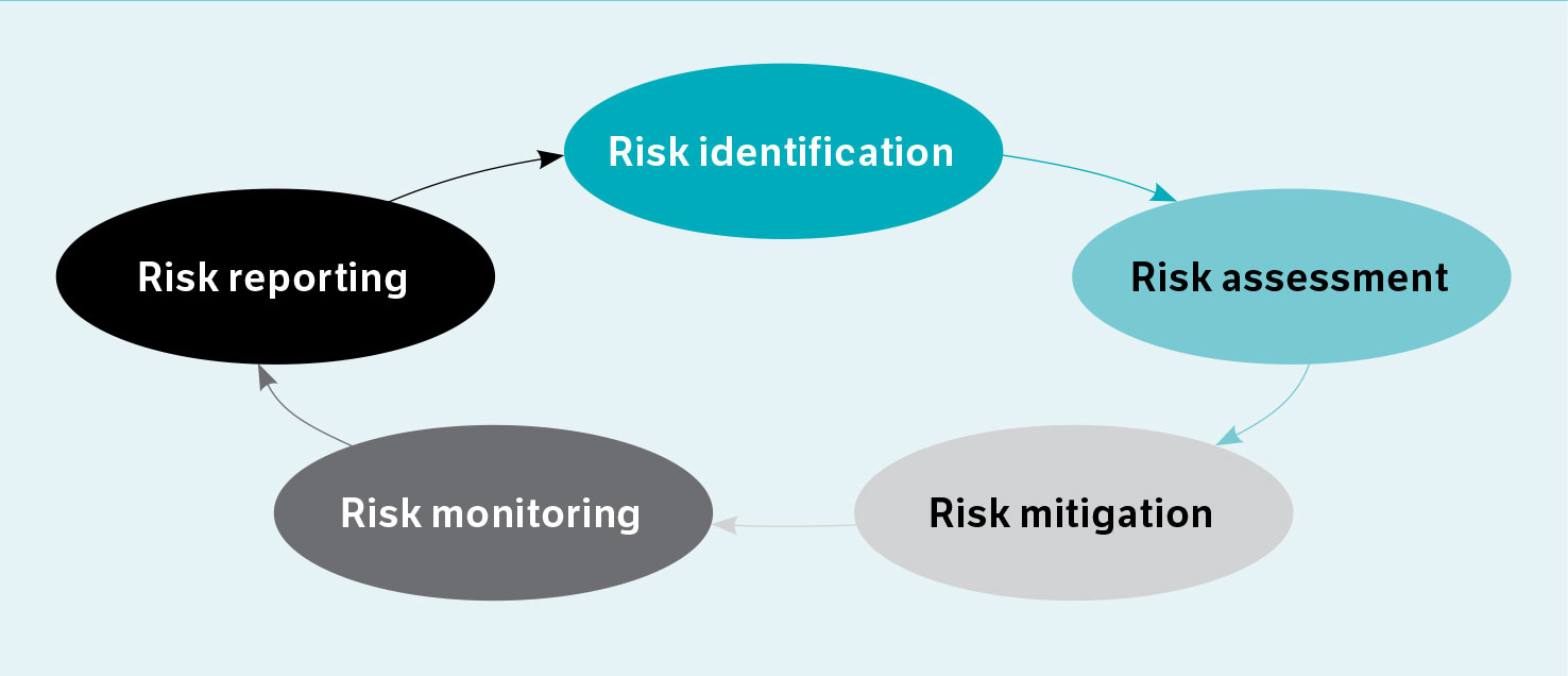 Torres Strait Regional Authority risk management process