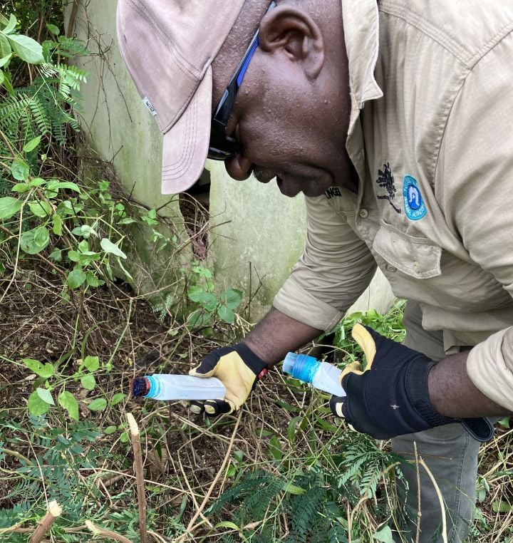 TSRA Rangers battle weeds on Boigu