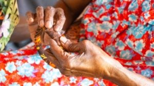 Culture Art and Heritage | TSRA