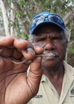 Nelson Gibuma - TSRA Senior Malu Kiai Ranger– Boigu Island